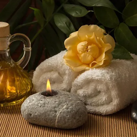Oda ve Kahvaltı Vulkan Wellness Panzio 3*