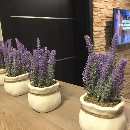 Vulkán Wellness Panzió Bed and breakfast Pécs