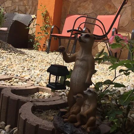 ベッド・アンド・ブレックファスト Vulkan Wellness Panzio