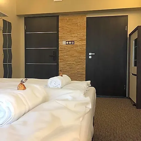 Vulkan Wellness Panzio 3* 佩奇